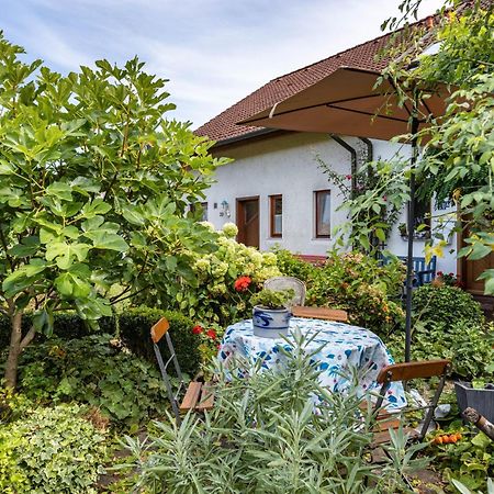 Ferienwohnung Alina Singen Kültér fotó