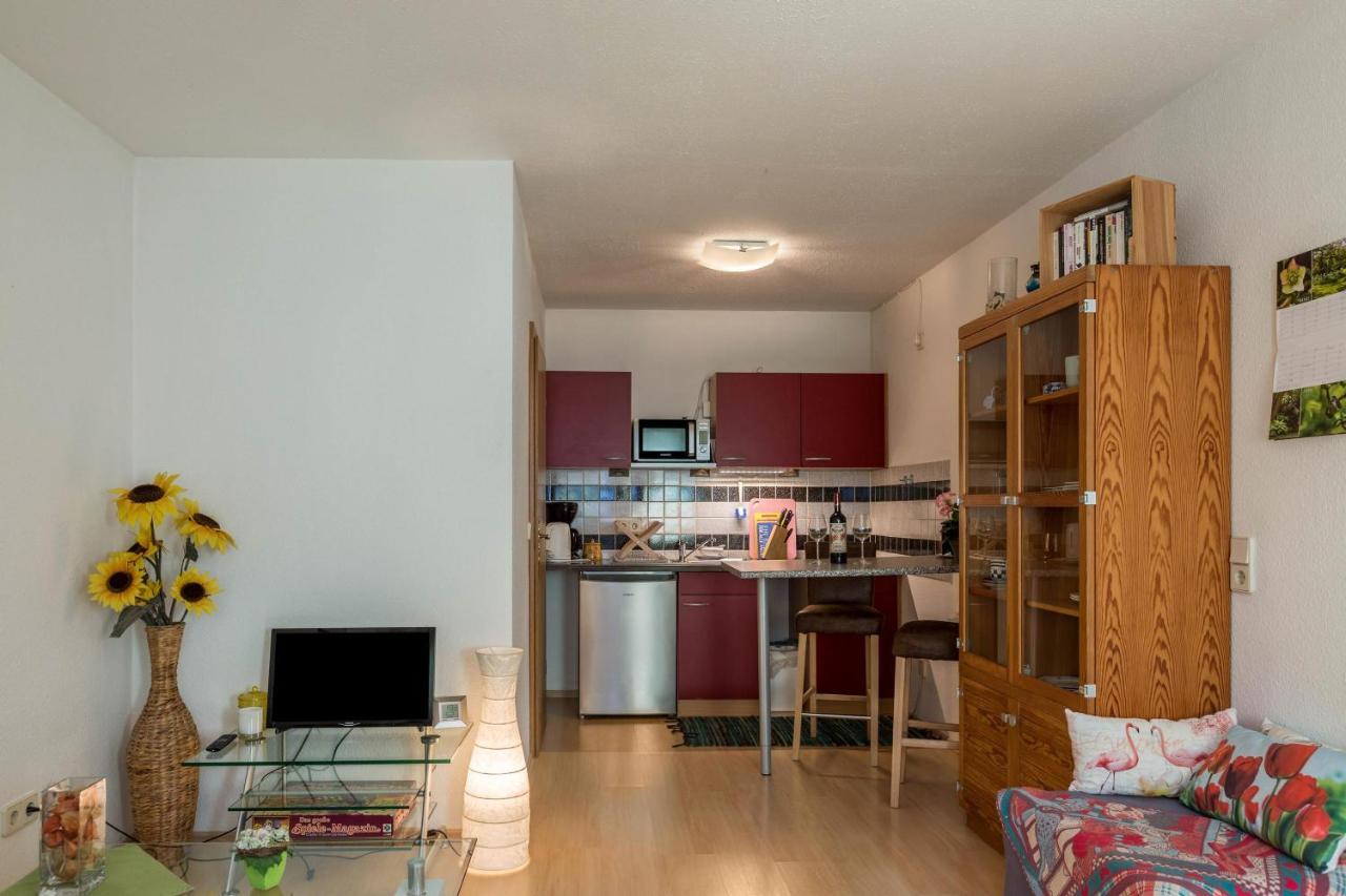 Ferienwohnung Alina Singen Kültér fotó