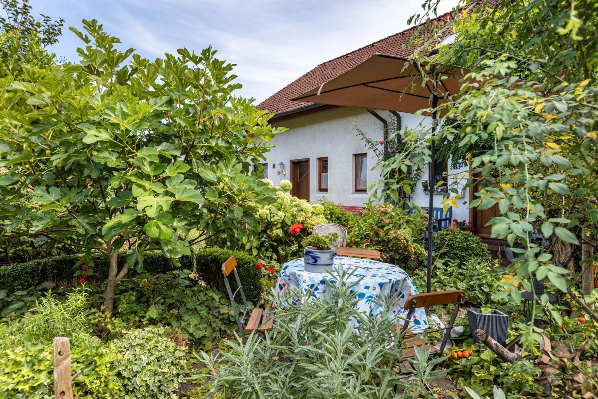 Ferienwohnung Alina Singen Kültér fotó